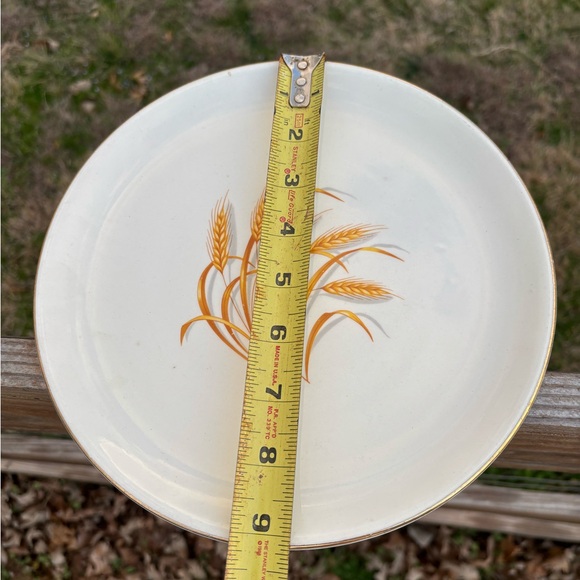 Homer Laughlin Golden Wheat Design Dinner Plates set of 4 - Picture 4 of 4